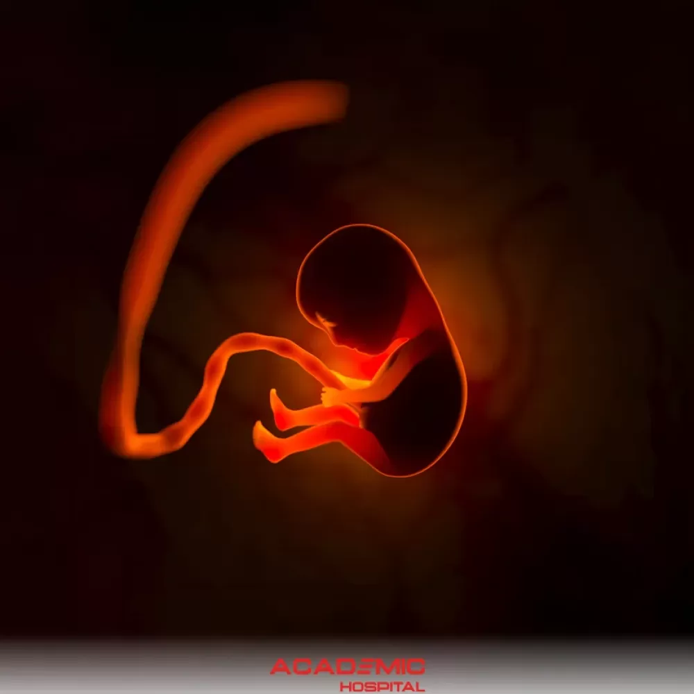 Amniotic Fluid