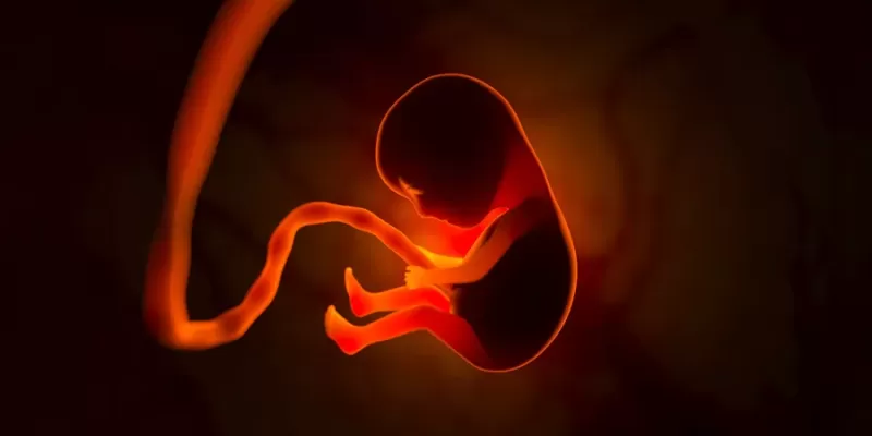 Amniyon Sıvısı Nedir?