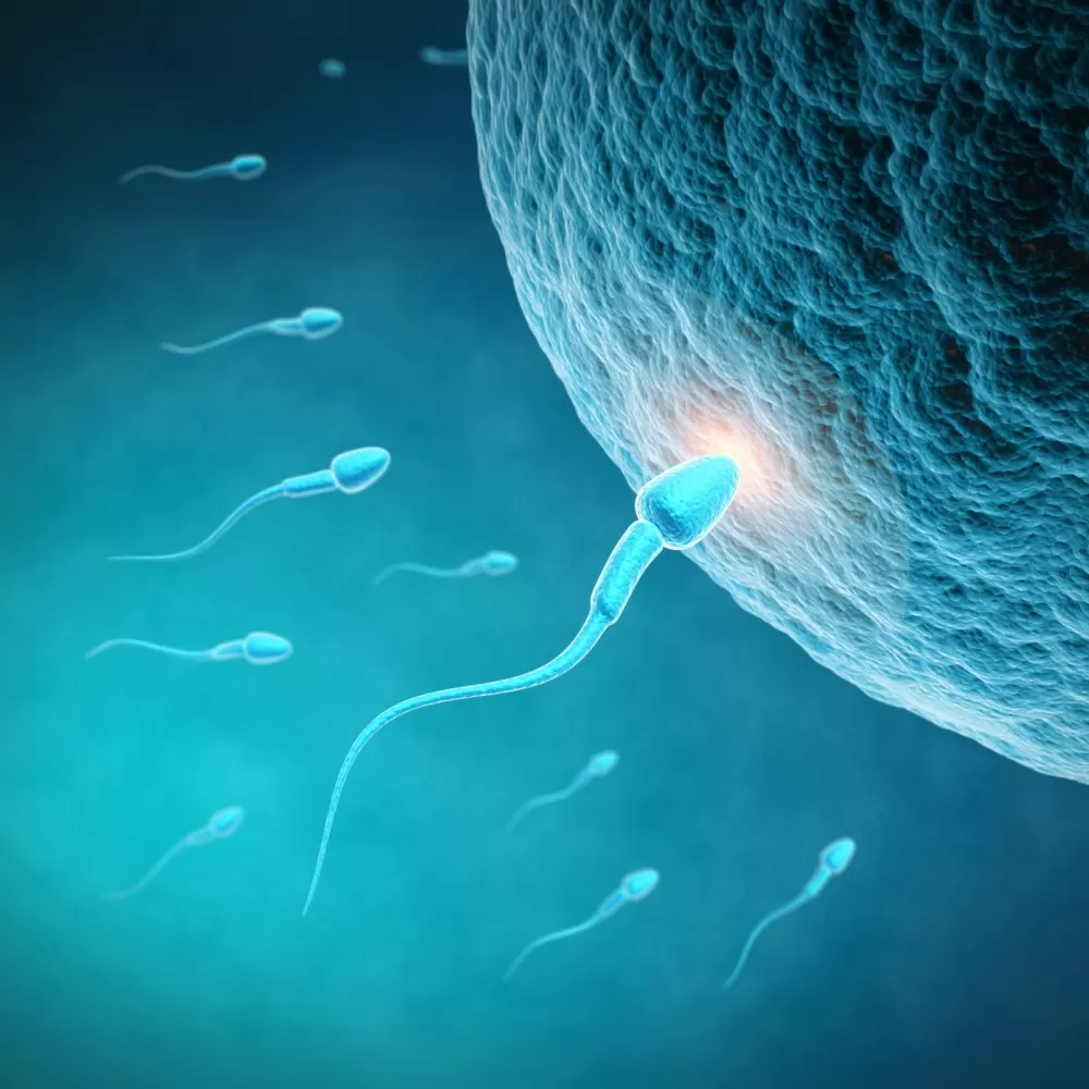 What is azoospermia? Could it be a treatable cause of male infertility?