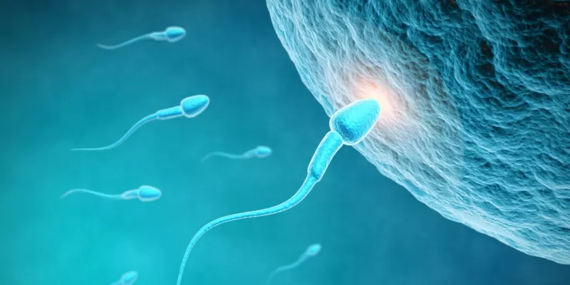 What is azoospermia? Could it be a treatable cause of male infertility?