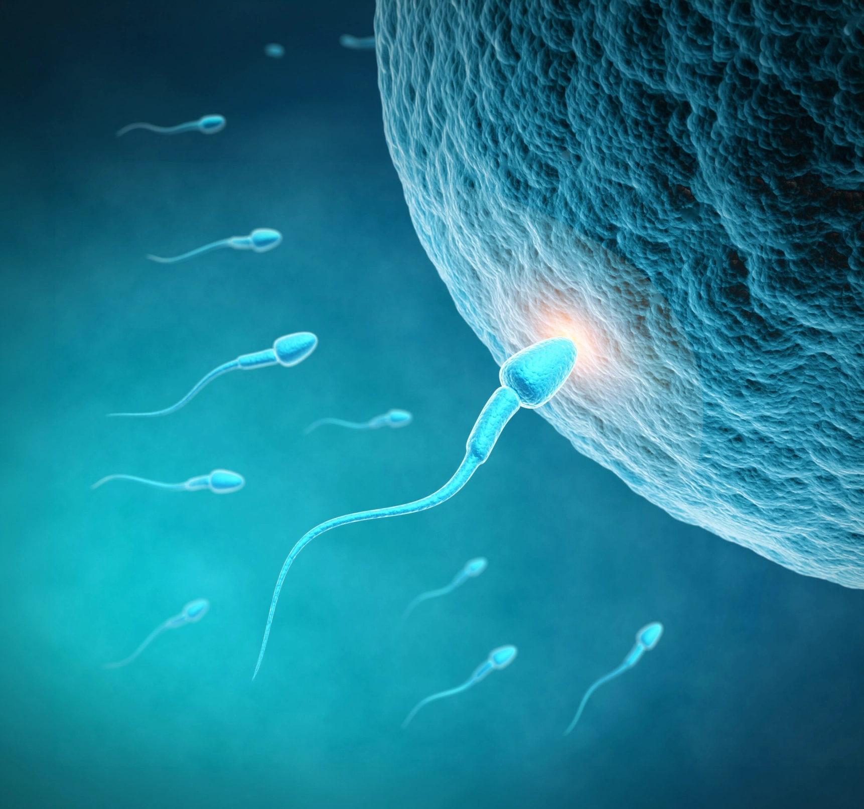 Azospermi Nedir? Erkek Kısırlığının Tedavi Edilebilir Nedenlerinden Biri Olabilir mi? 