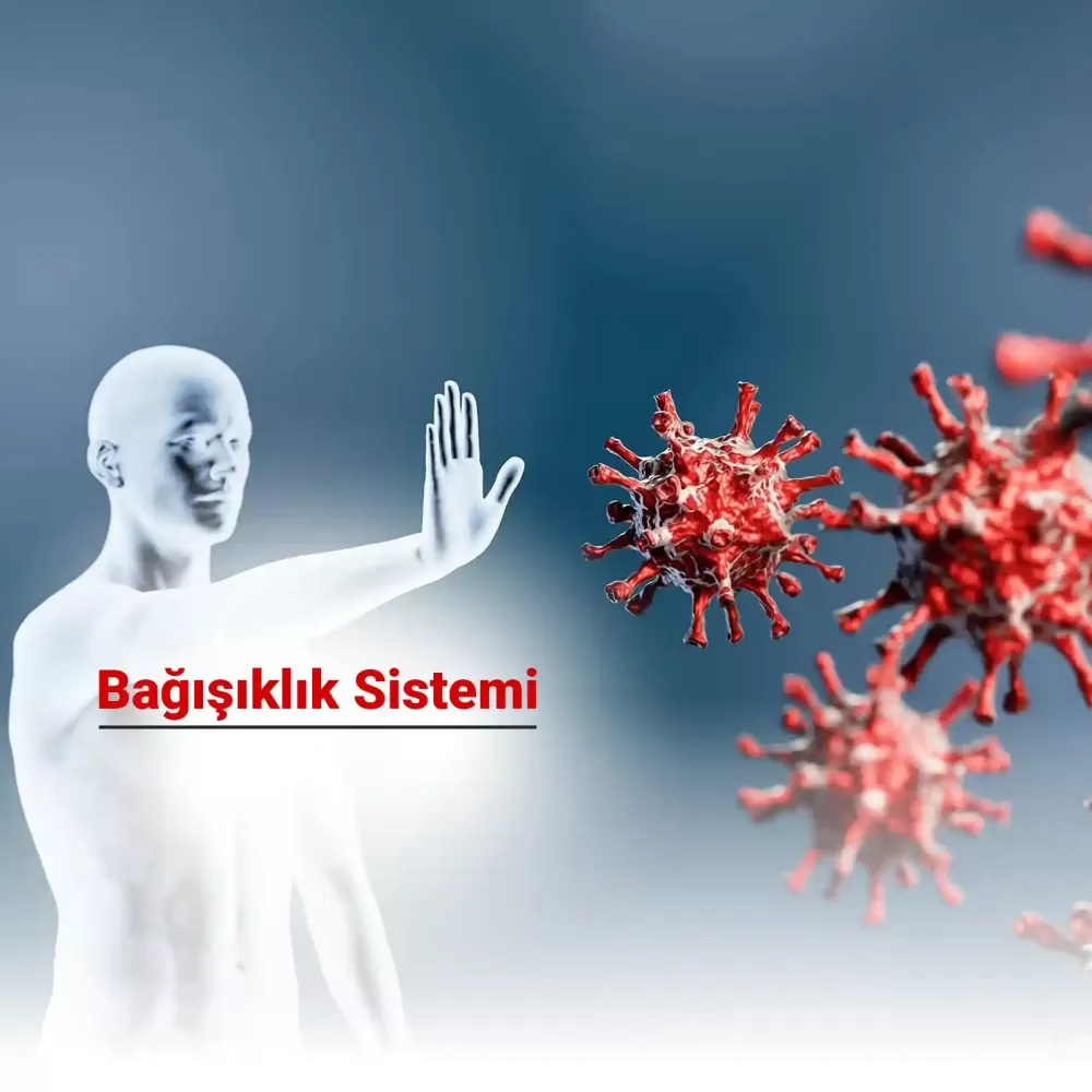 Bağışıklık Sistemini Desteklemenin Yolları Nelerdir?