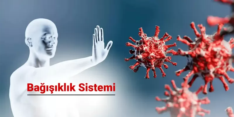 Bağışıklık Sistemini Desteklemenin Yolları Nelerdir?