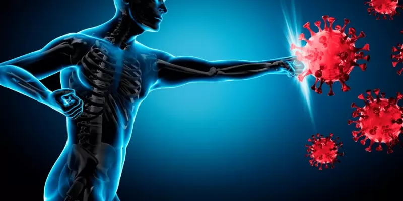 What are the ways to support the immune system?