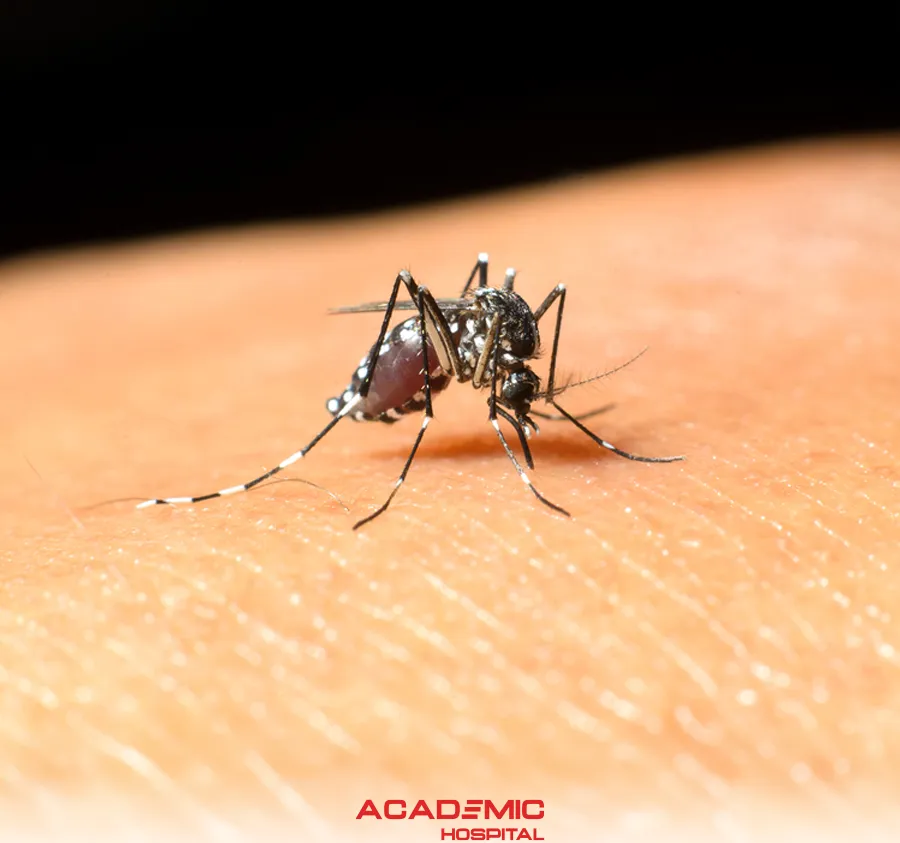 West Nile Virus 
