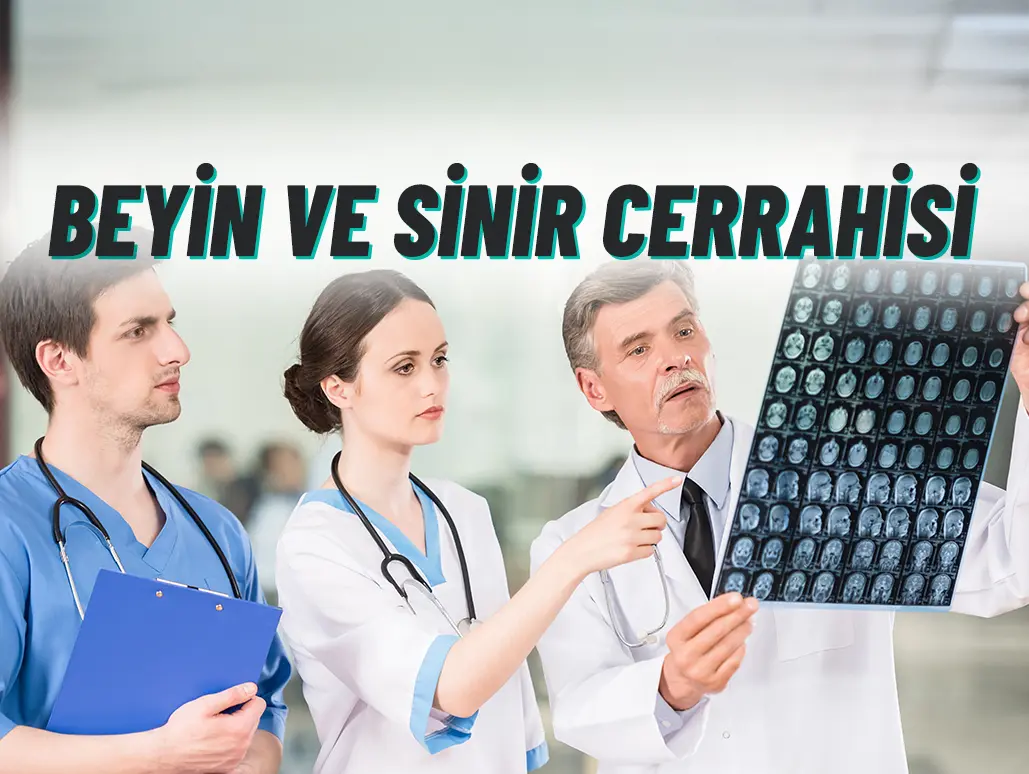 department-card-1
