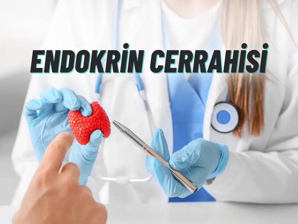 department-card-1