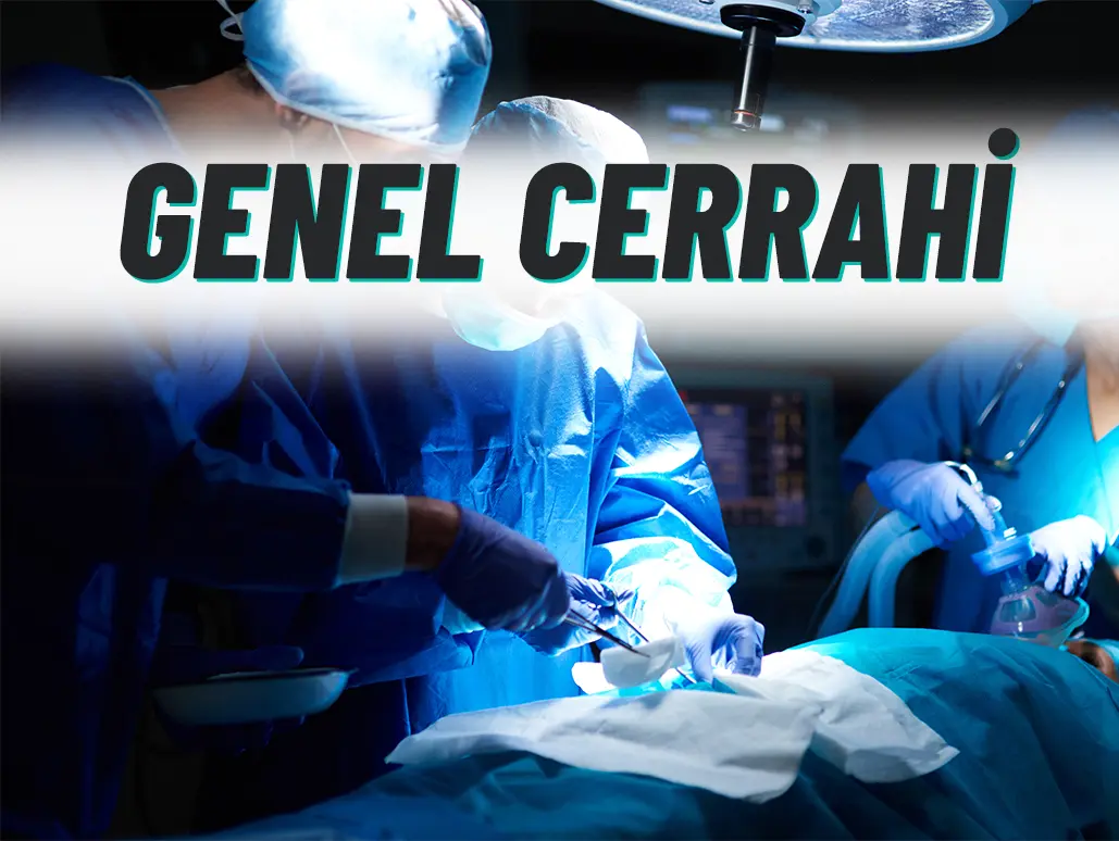 department-card-1