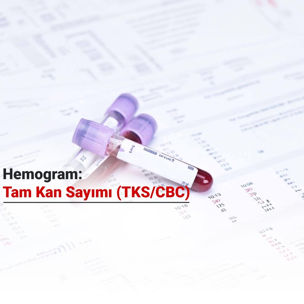 Hemogram: Tam Kan Sayımı (TKS/CBC)