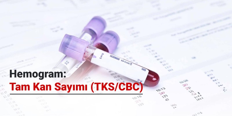 Hemogram: Tam Kan Sayımı (TKS/CBC)