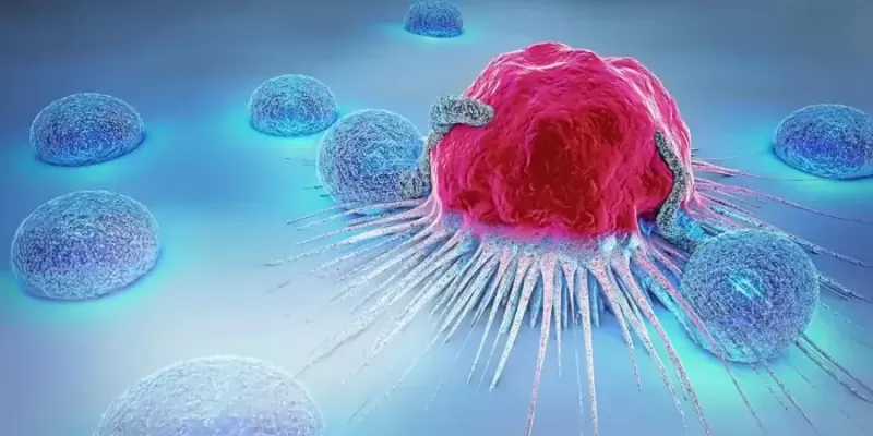 Cancer and the Spread of Cancer: Metastasis (Spreading)