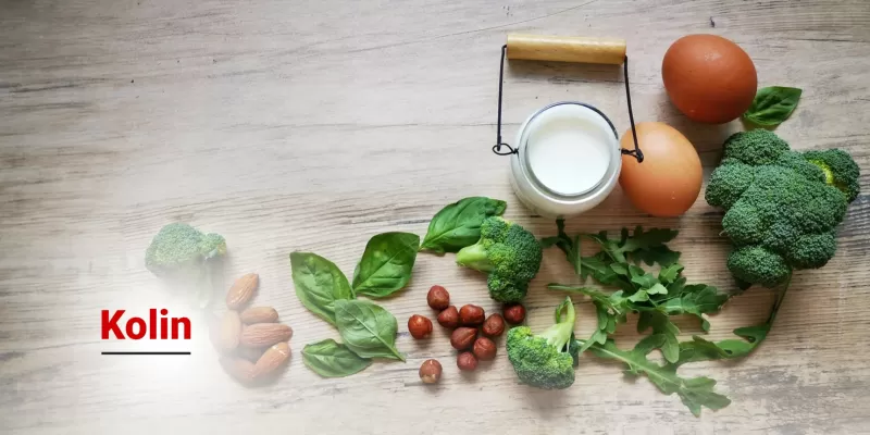 Kolin Nedir? Faydaları Nelerdir?