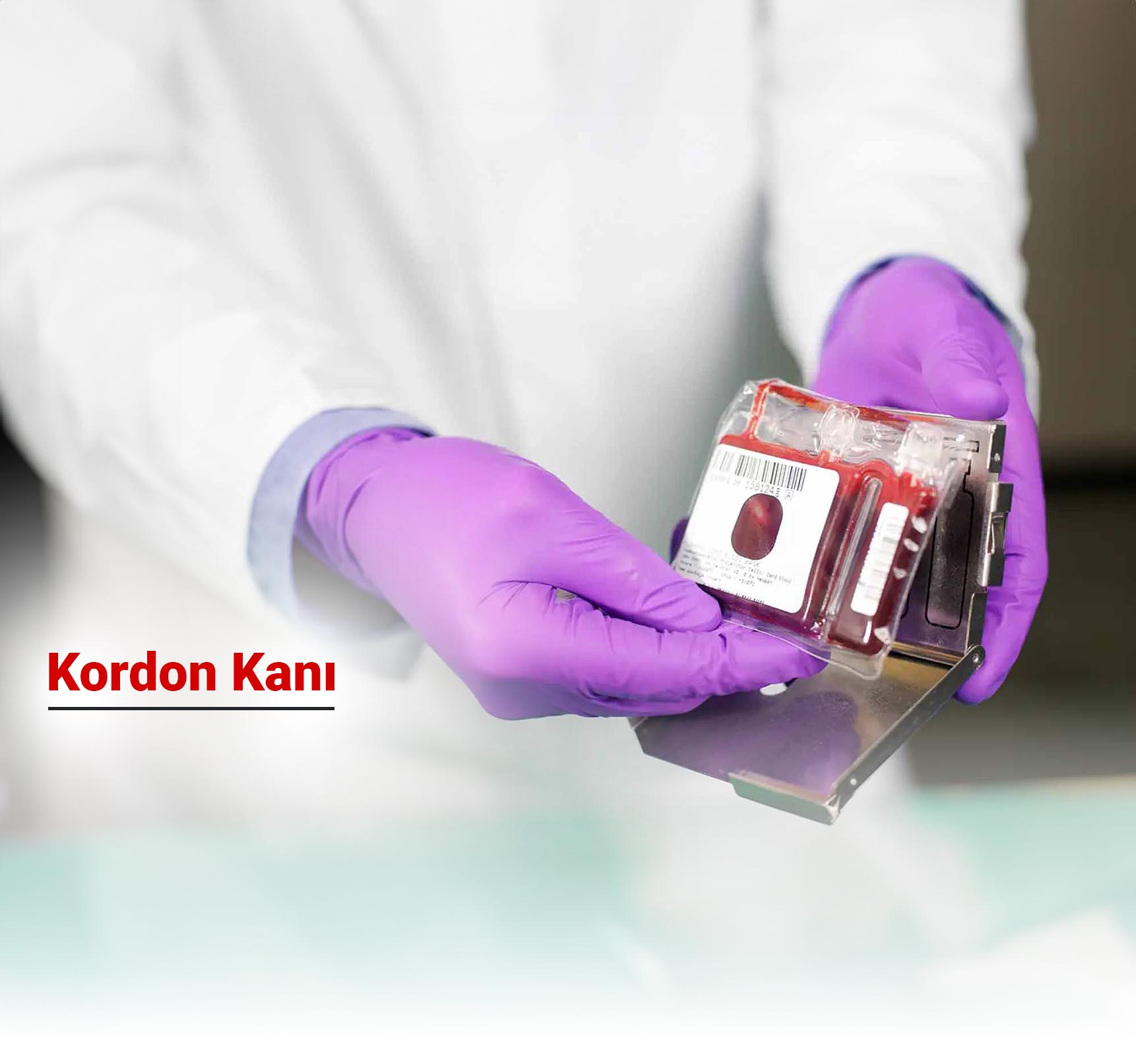 Kordon Kanı: Geleceğin Sağlık Sigortası