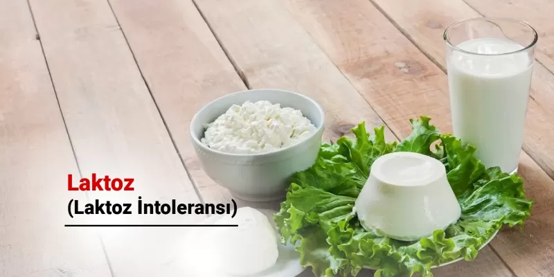 Laktoz Nedir? Laktoz İntoleransı Nedir? Belirtileri Nelerdir?