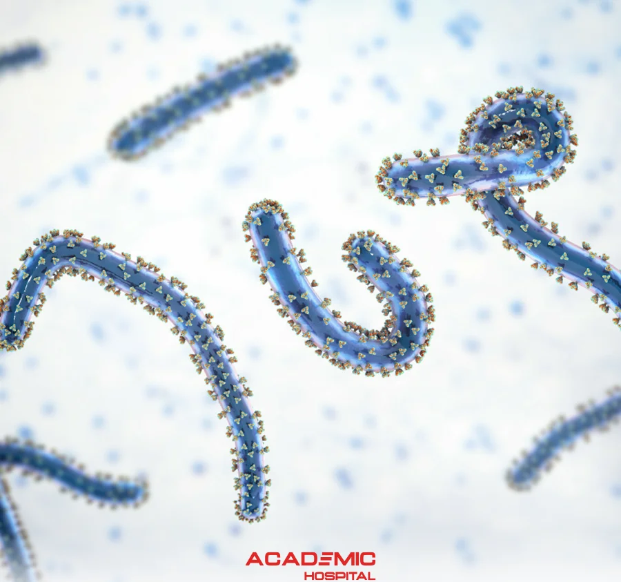What Is the Marburg Virus? What Are Its Symptoms?