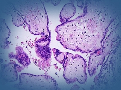 department-card-1