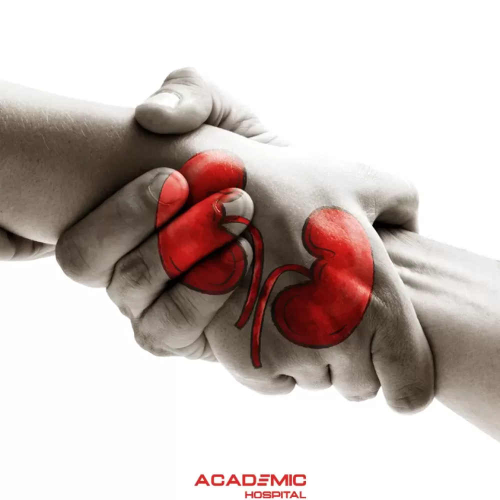 Organ Bağışı Nedir? Hangi Organlar Bağışlanabilir? Süreci Nasıldır?