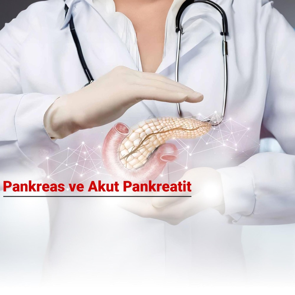 Pankreas ve Akut Pankreatit
