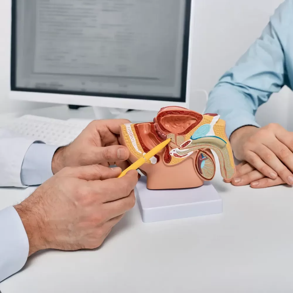 What Is Prostate Fusion Biopsy? How Is It Performed?