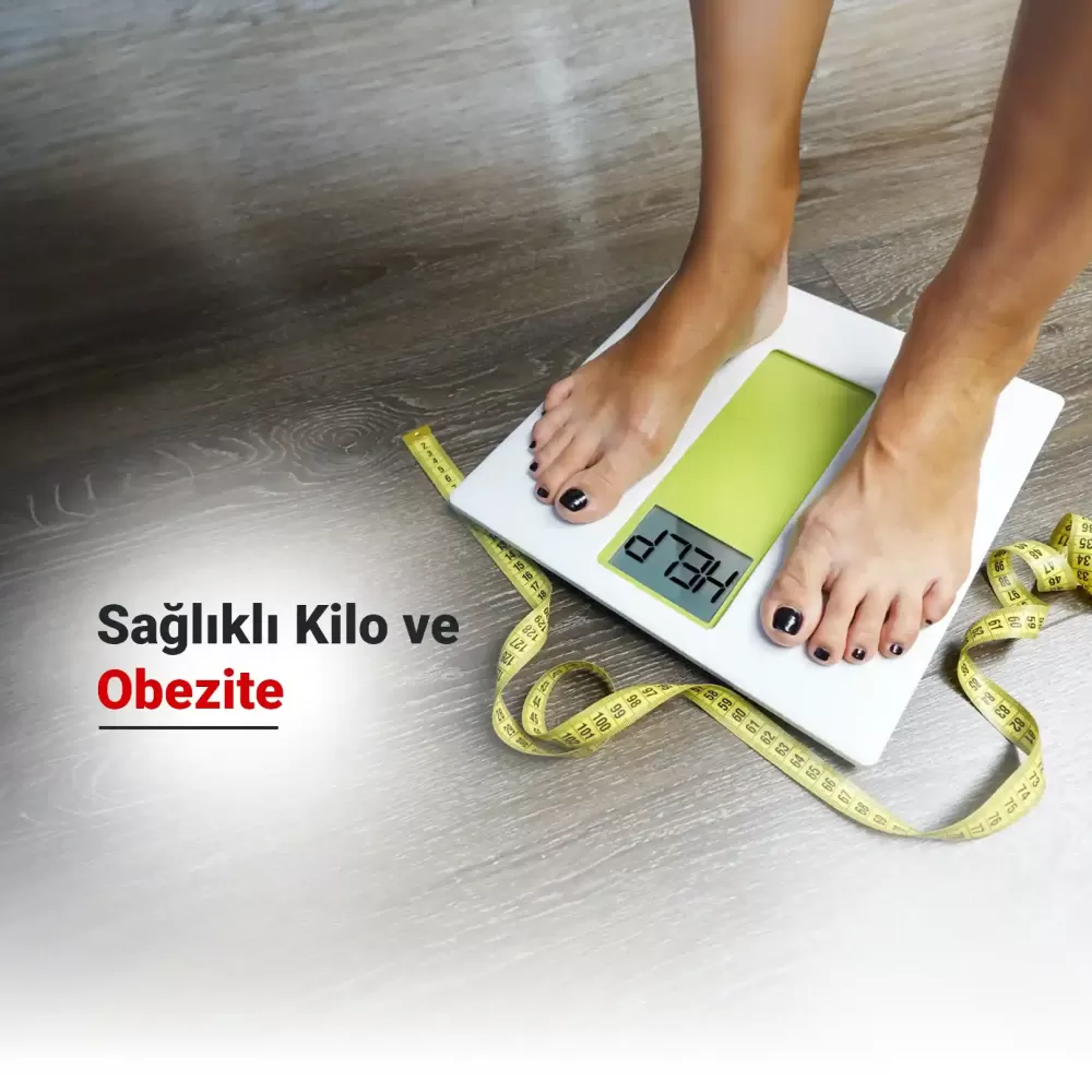 Sağlıklı Kilo Aralıkları ve Obezite Sınıfları