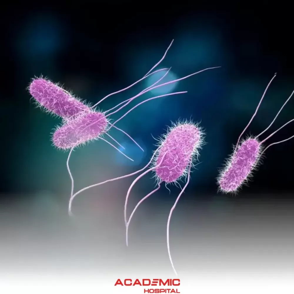 What Is Salmonella? Symptoms, Modes of Transmission, and Prevention Methods