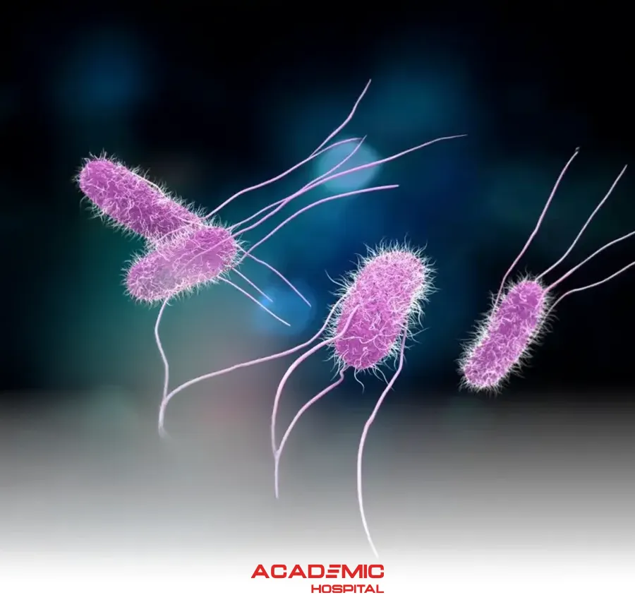 What Is Salmonella? Symptoms, Modes of Transmission, and Prevention Methods