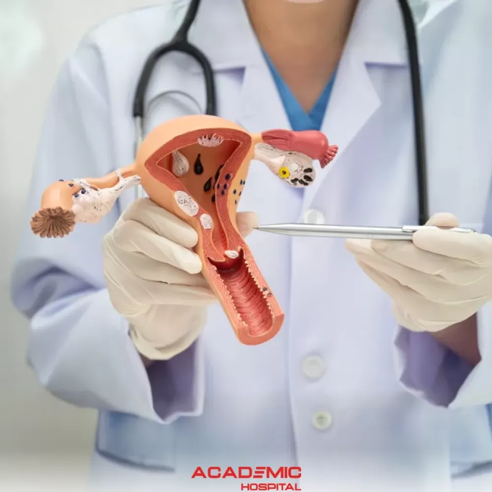  HPV ve Rahim Ağzı (Serviks) Kanseri 
